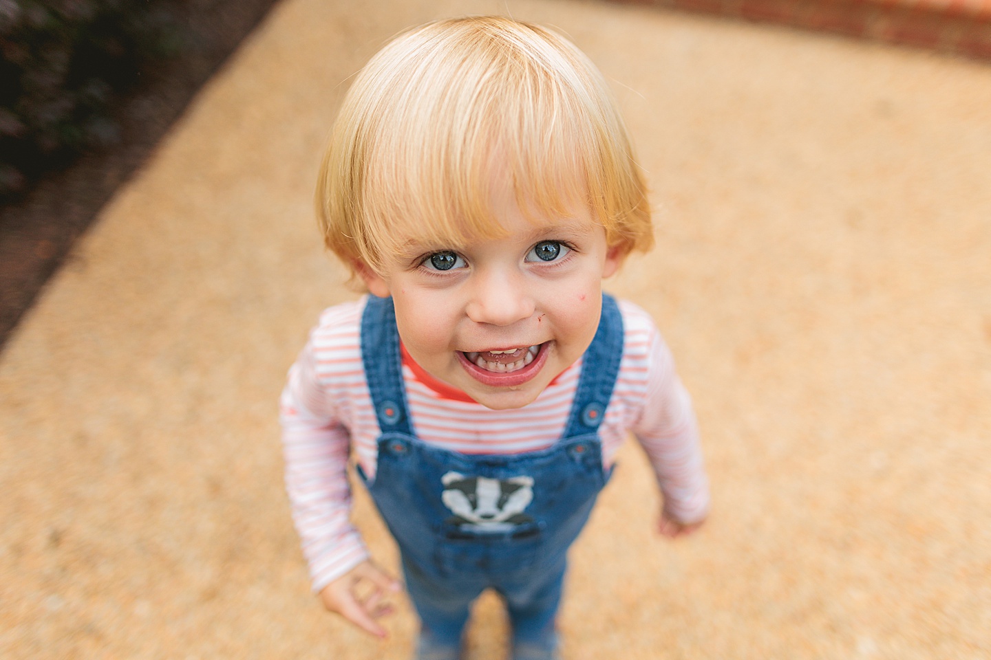 Family Photographer - Liz + Tommy // Durham Family Photographers