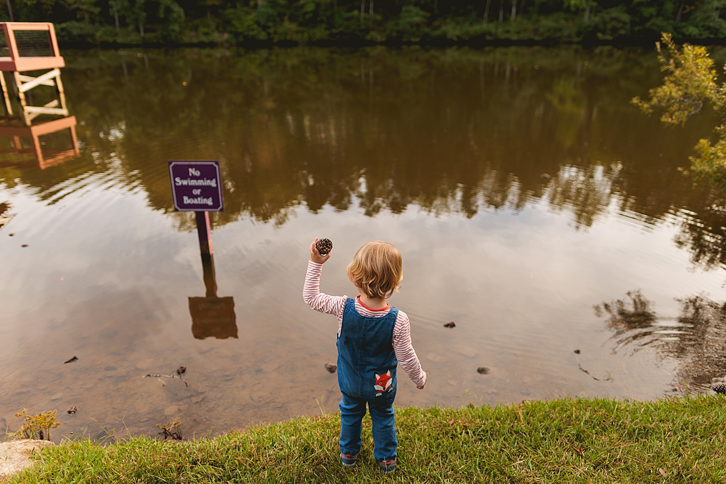 Family Photographer - Liz + Tommy // Durham Family Photographers