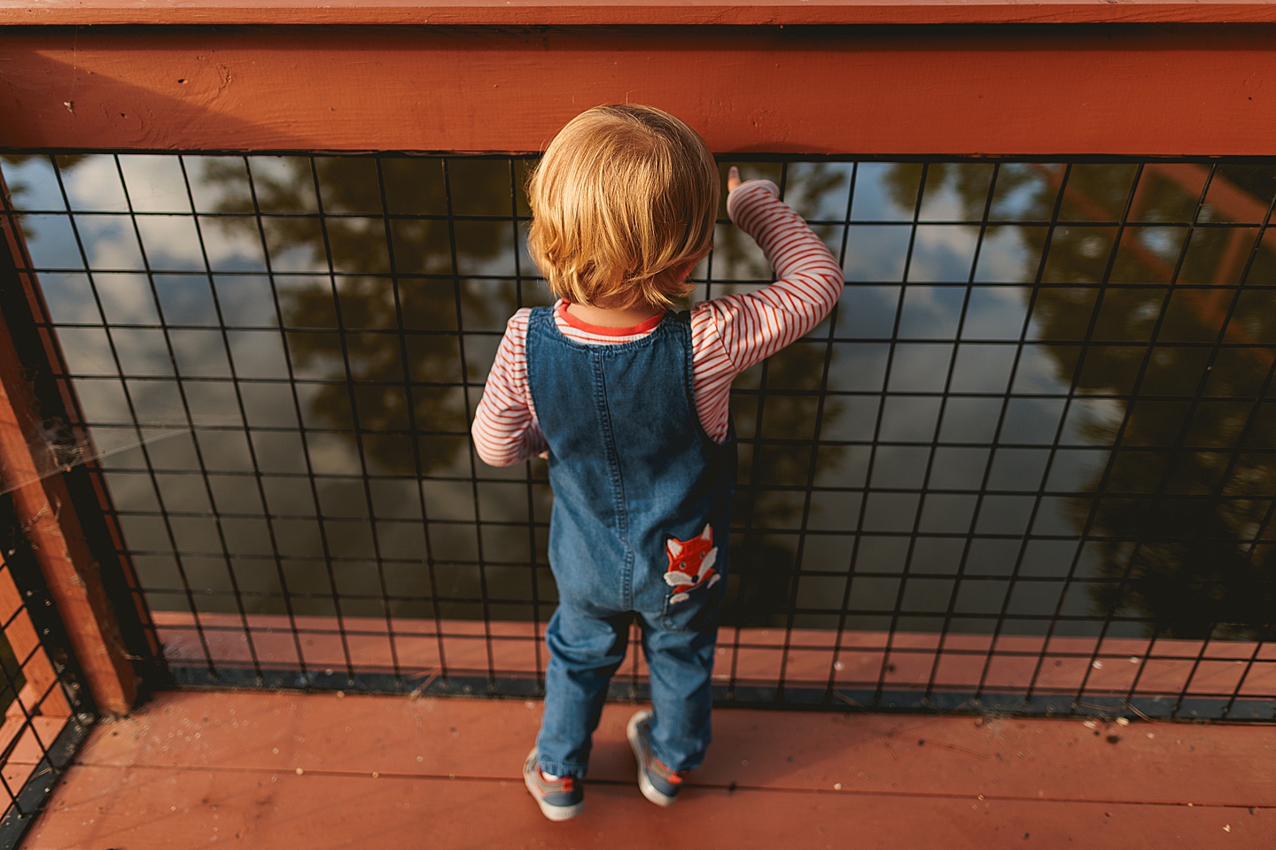 Family Photographer - Liz + Tommy // Durham Family Photographers