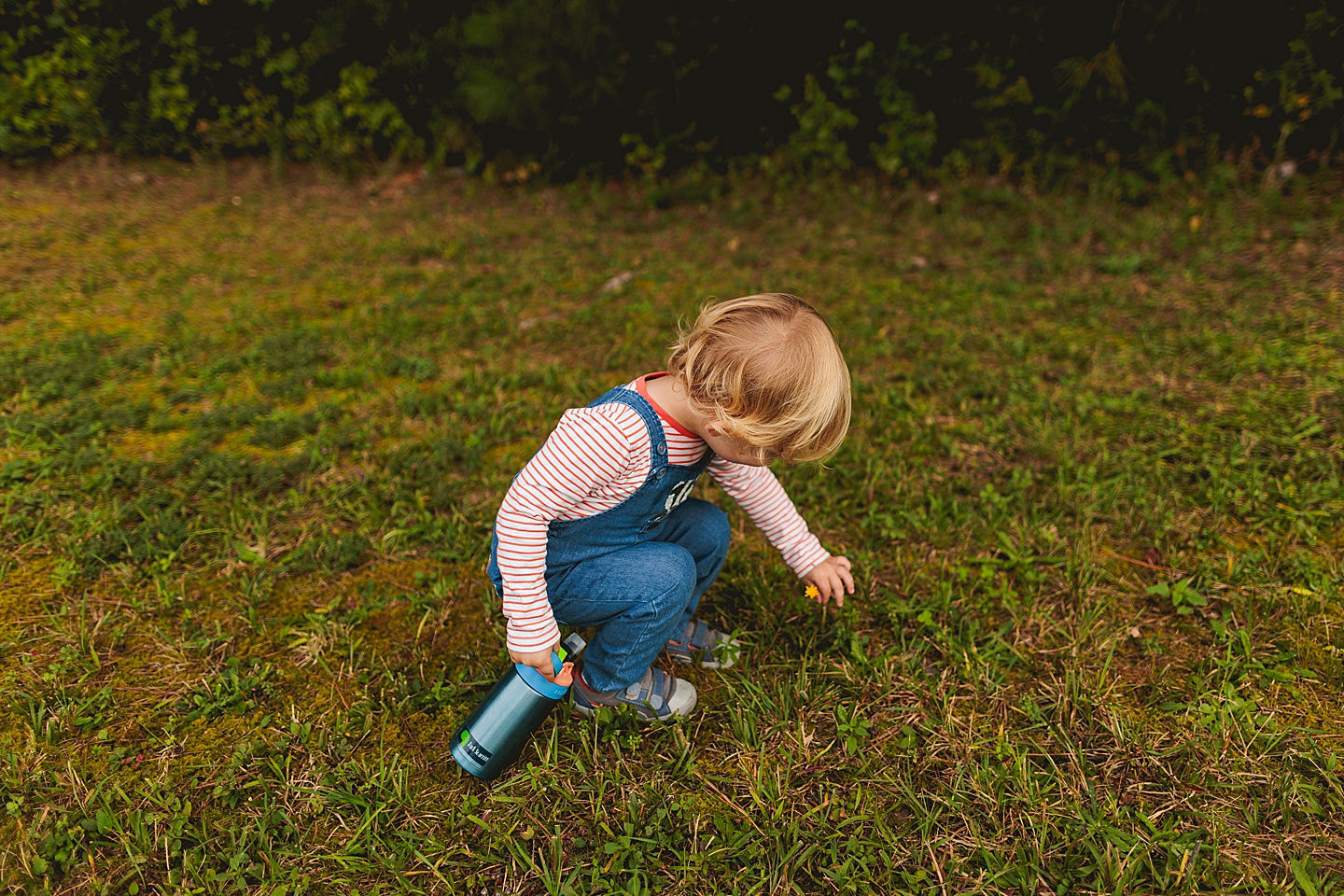 Family Photographer - Liz + Tommy // Durham Family Photographers